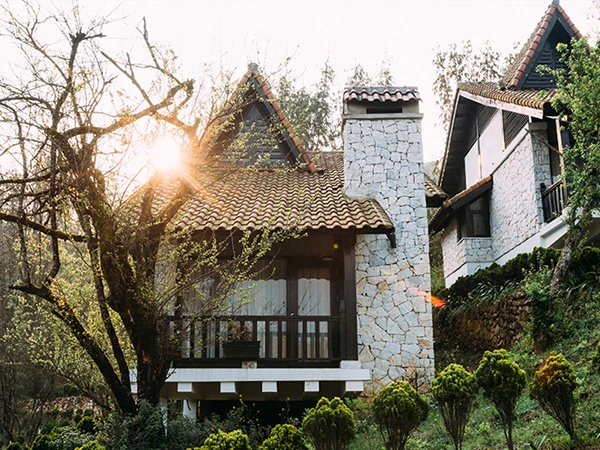 Bạn sẽ đắm chìm trong khung cảnh thơ mông của 10 khách sạn trên cây đẹp nhất thế giới